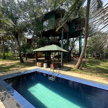 Готель Yala Eco Tree House New Тіссамахарама Екстер'єр фото