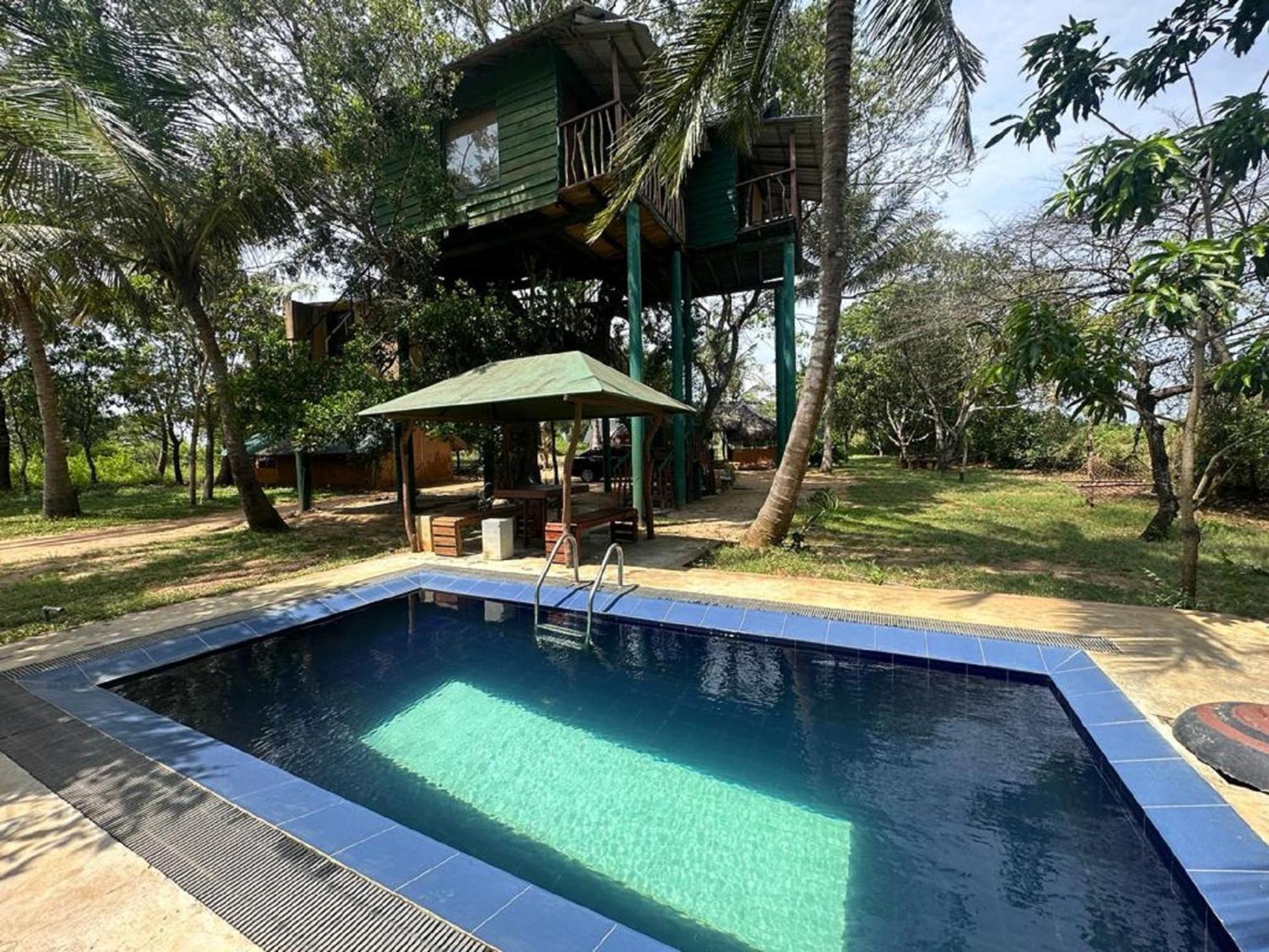 Готель Yala Eco Tree House New Тіссамахарама Екстер'єр фото