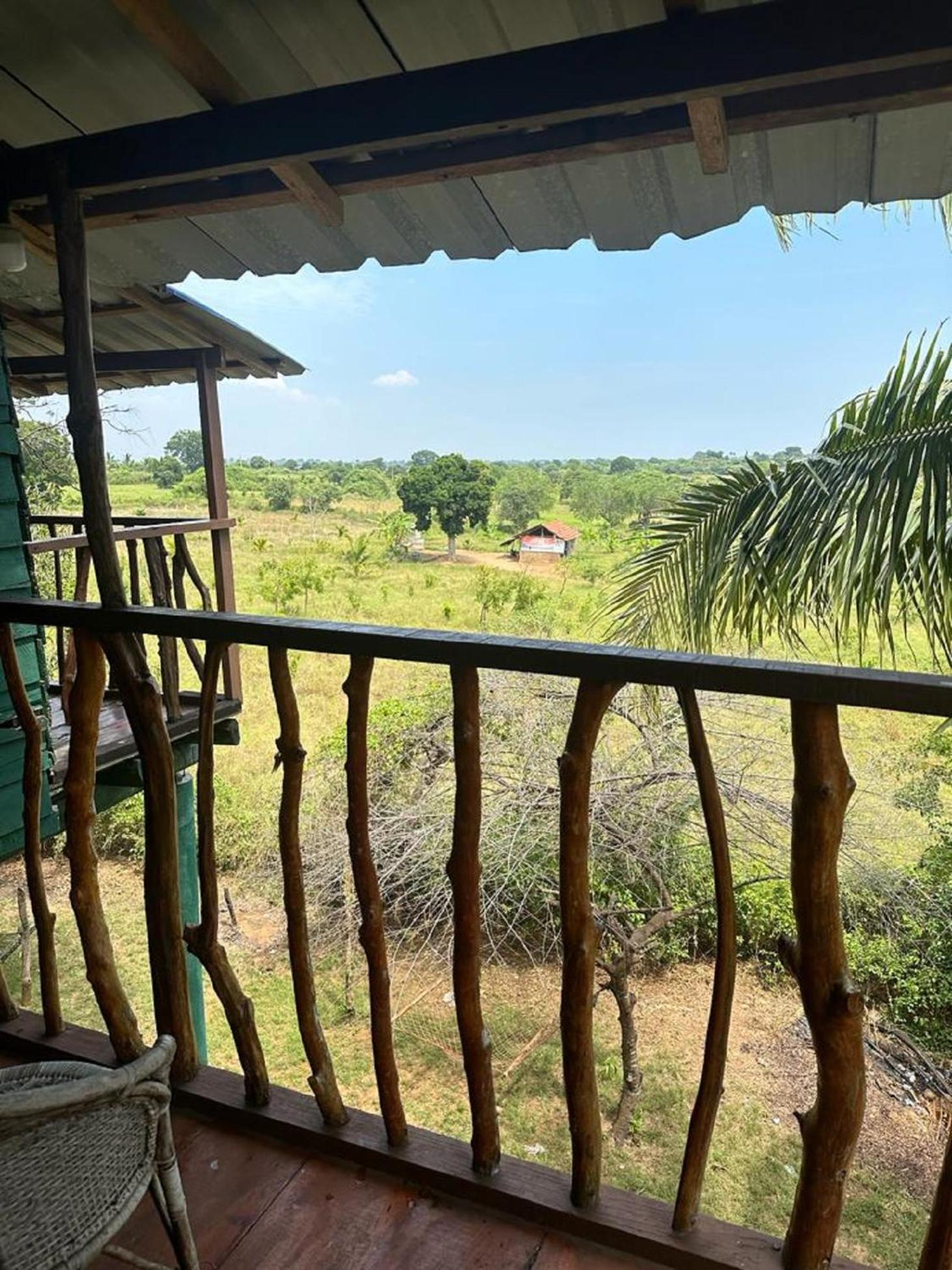 Готель Yala Eco Tree House New Тіссамахарама Екстер'єр фото