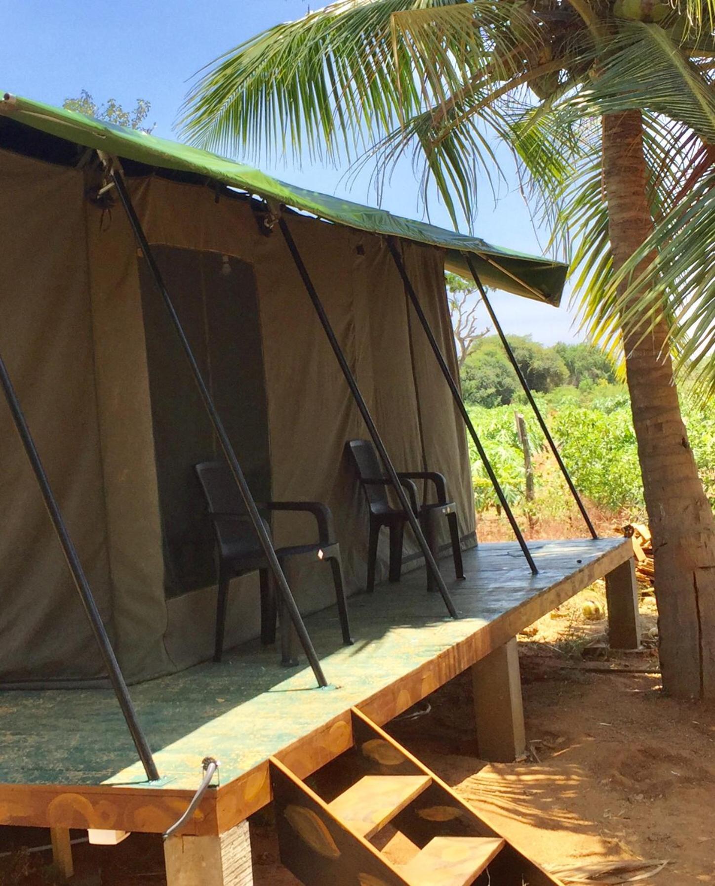 Готель Yala Eco Tree House New Тіссамахарама Екстер'єр фото