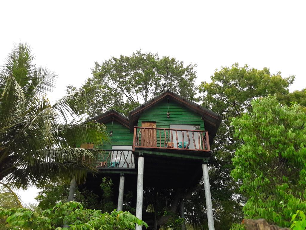 Готель Yala Eco Tree House New Тіссамахарама Екстер'єр фото