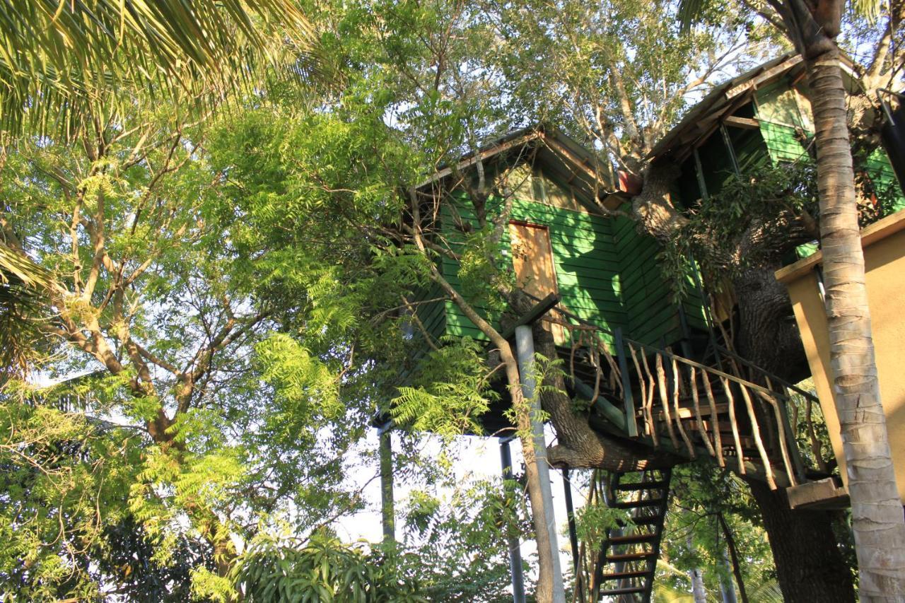 Готель Yala Eco Tree House New Тіссамахарама Екстер'єр фото