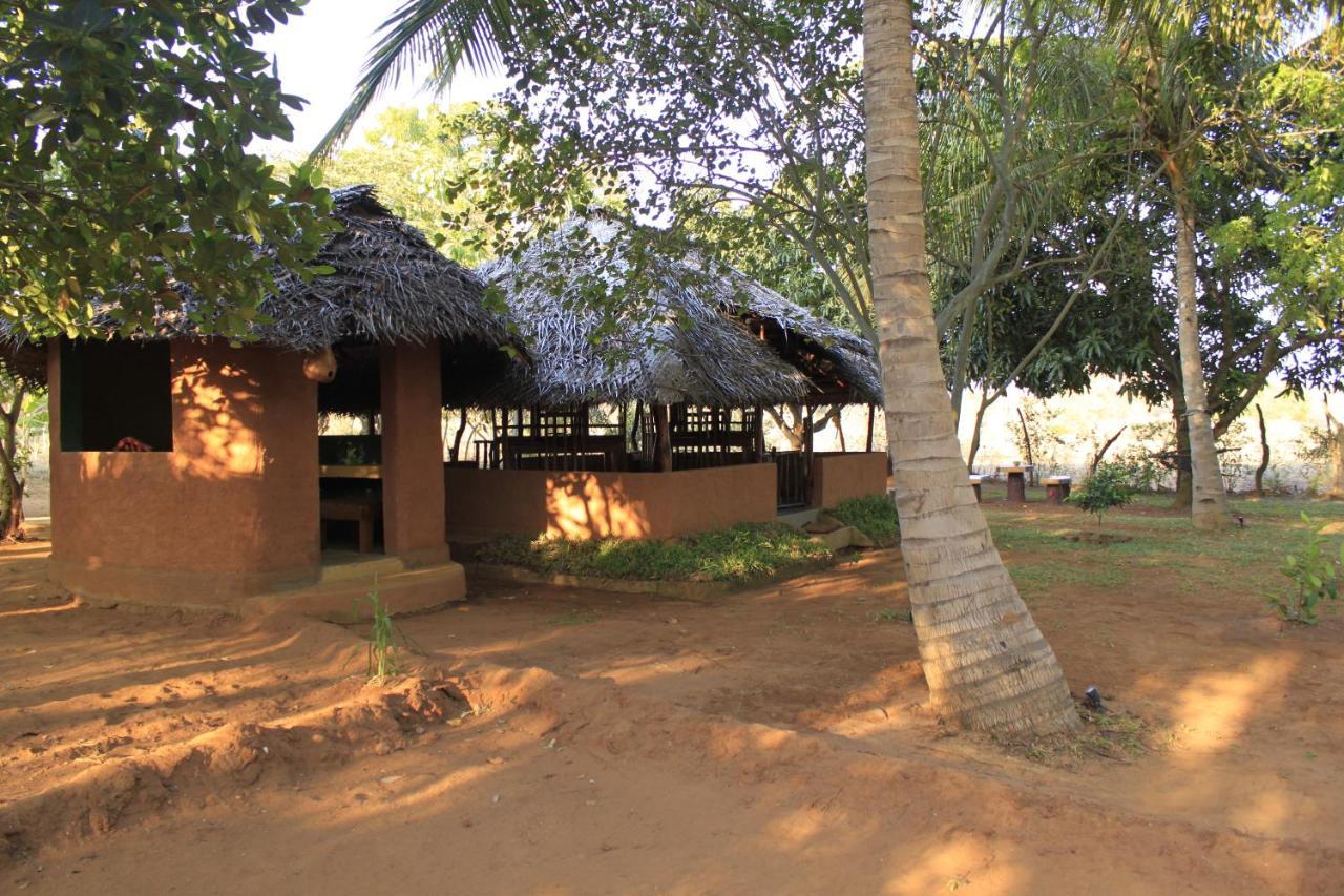 Готель Yala Eco Tree House New Тіссамахарама Екстер'єр фото