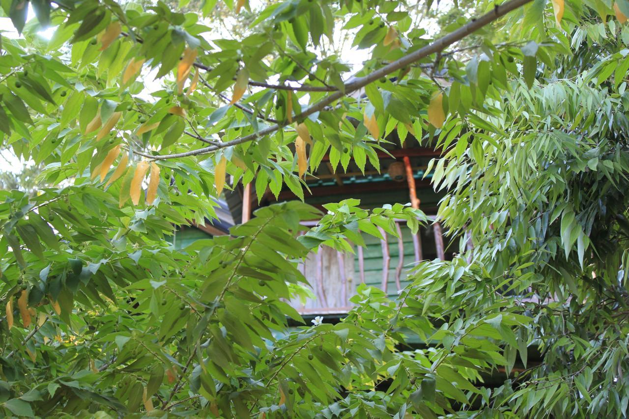 Готель Yala Eco Tree House New Тіссамахарама Екстер'єр фото