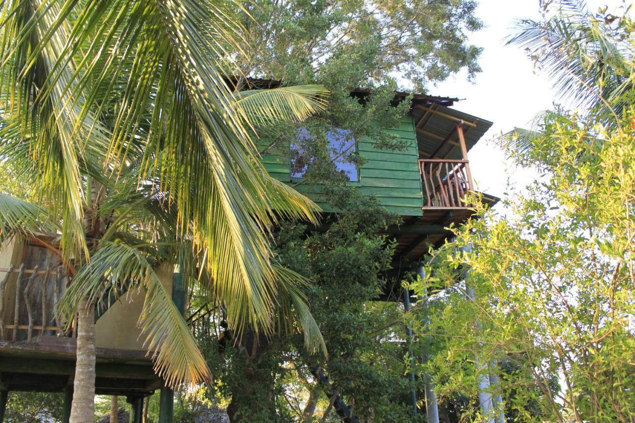 Готель Yala Eco Tree House New Тіссамахарама Екстер'єр фото