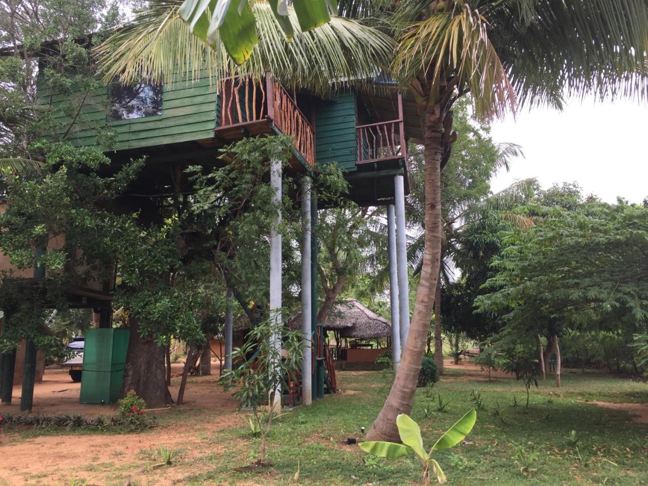 Готель Yala Eco Tree House New Тіссамахарама Екстер'єр фото