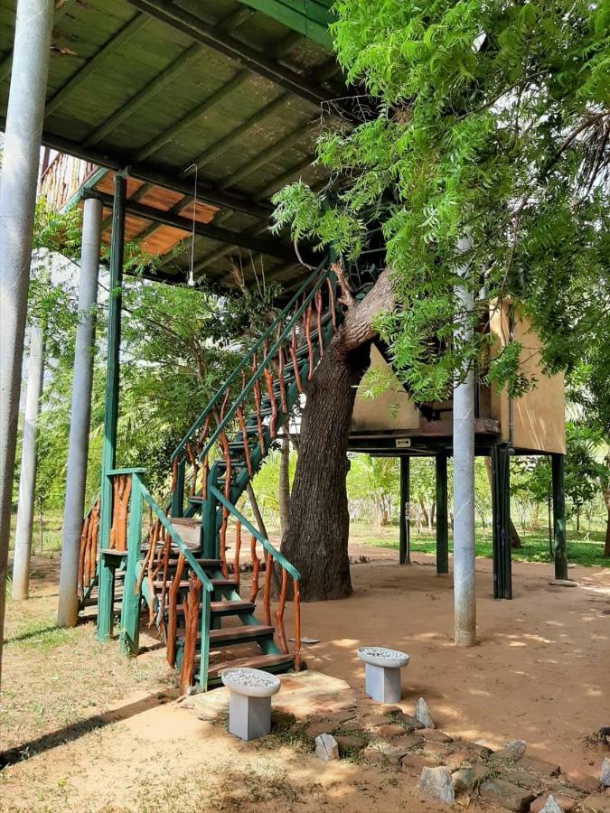 Готель Yala Eco Tree House New Тіссамахарама Екстер'єр фото