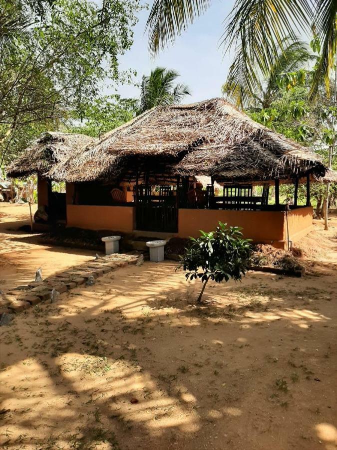 Готель Yala Eco Tree House New Тіссамахарама Екстер'єр фото