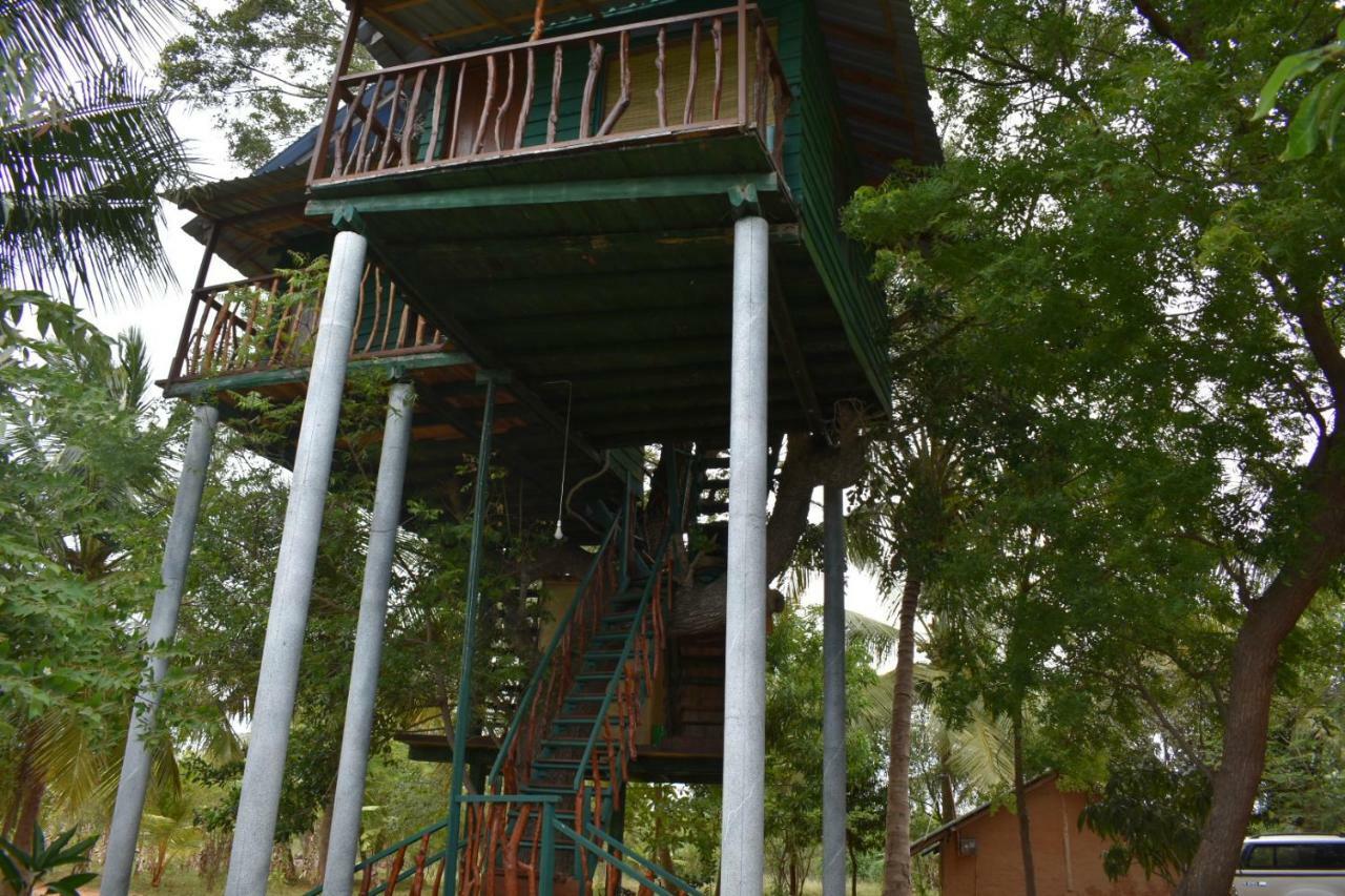 Готель Yala Eco Tree House New Тіссамахарама Екстер'єр фото