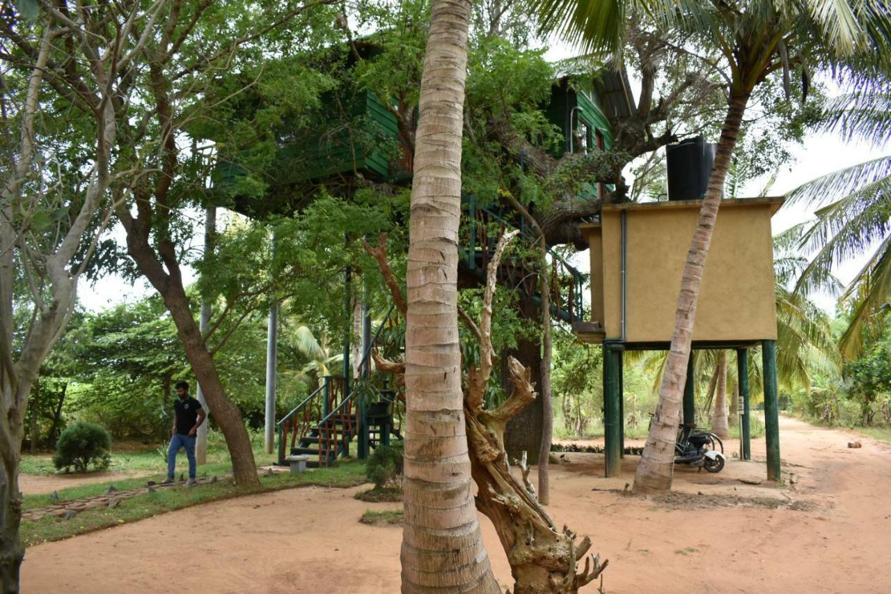 Готель Yala Eco Tree House New Тіссамахарама Екстер'єр фото
